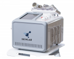 SkinLab facial